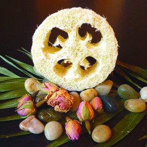 Porte-savon Loofah