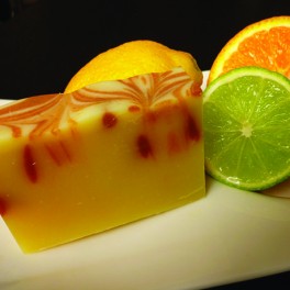 Savon Crème d'Argan Délice d'Agrumes Savon Crème d'Argan Délice d'Agrumes