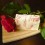 Douceur d'amande jardin de roses