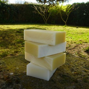 Lot de 3 savons nature